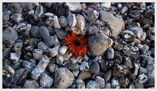 Das Prinzip Hoffnung