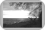 Silvesterurlaub auf Rügen - Küste bei Sassnitz, by me